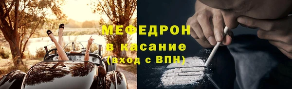индика Алексин