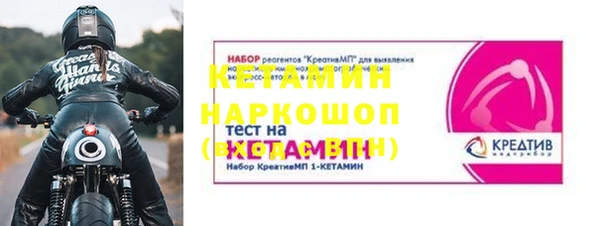 индика Алексин