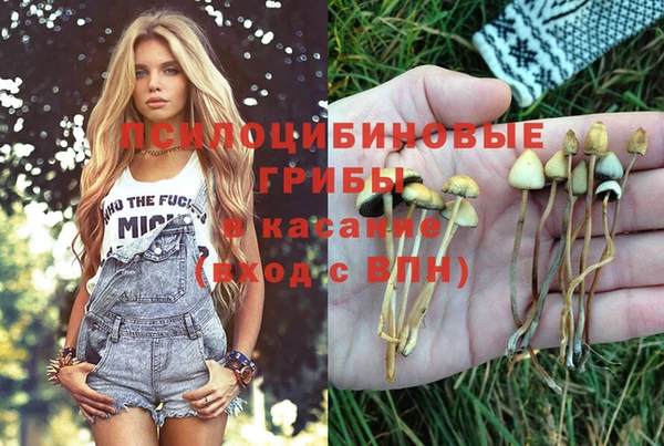 ГАЛЛЮЦИНОГЕННЫЕ ГРИБЫ Россошь