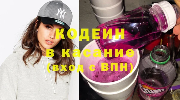 индика Алексин
