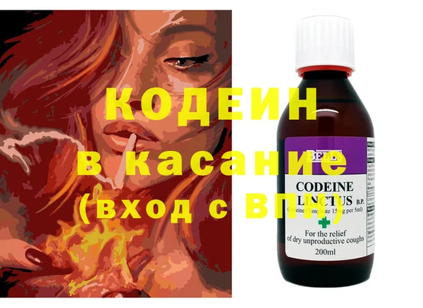 индика Алексин