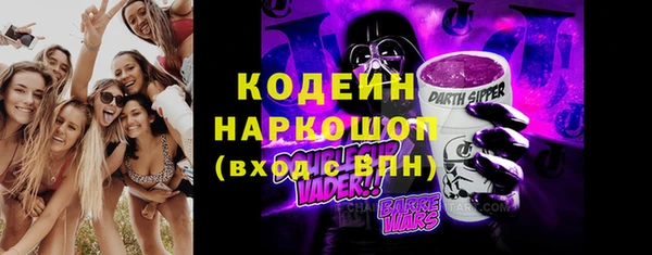 индика Алексин