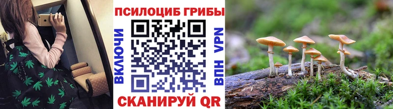 Галлюциногенные грибы Psilocybe  MEGA онион  Ковылкино 